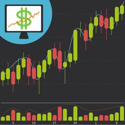 信息咨询有限公司是做什么的长尾关键词大全