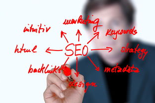 seo 百度 站长工具长尾关键词大全